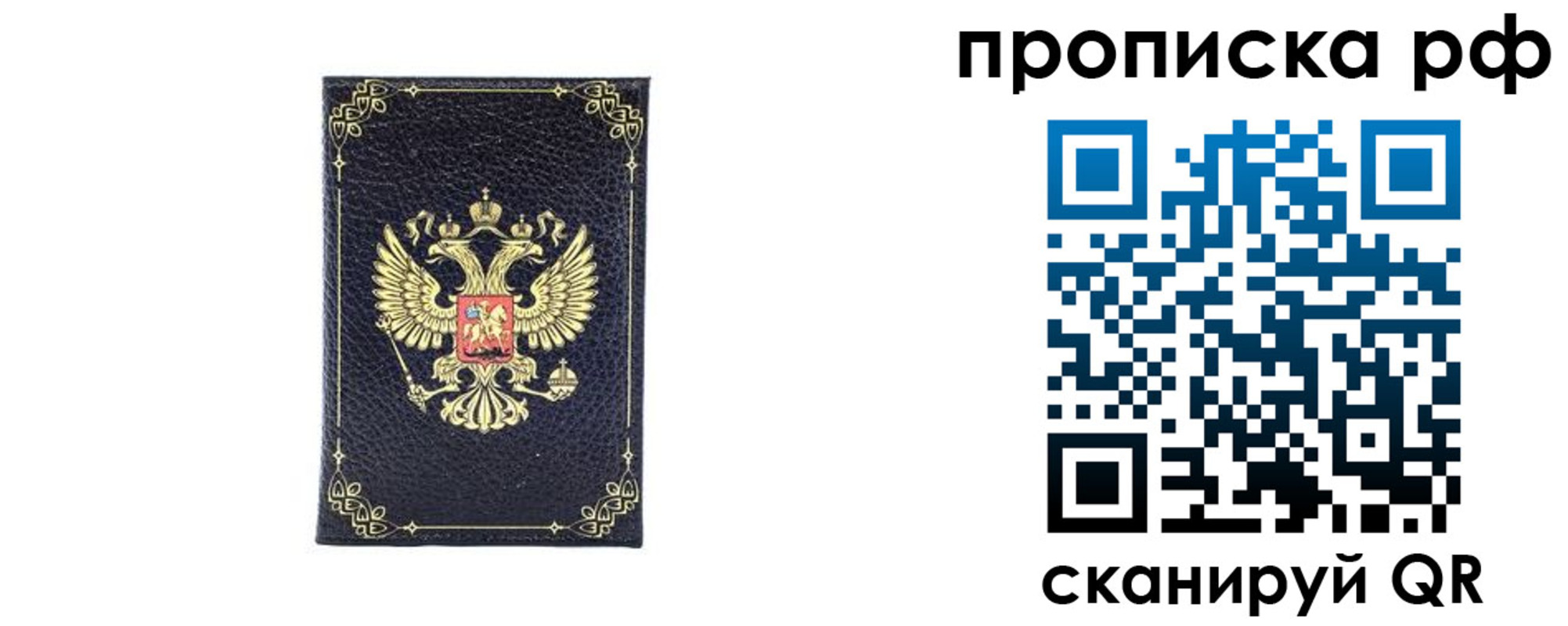 прописка для школы в Ковдоре